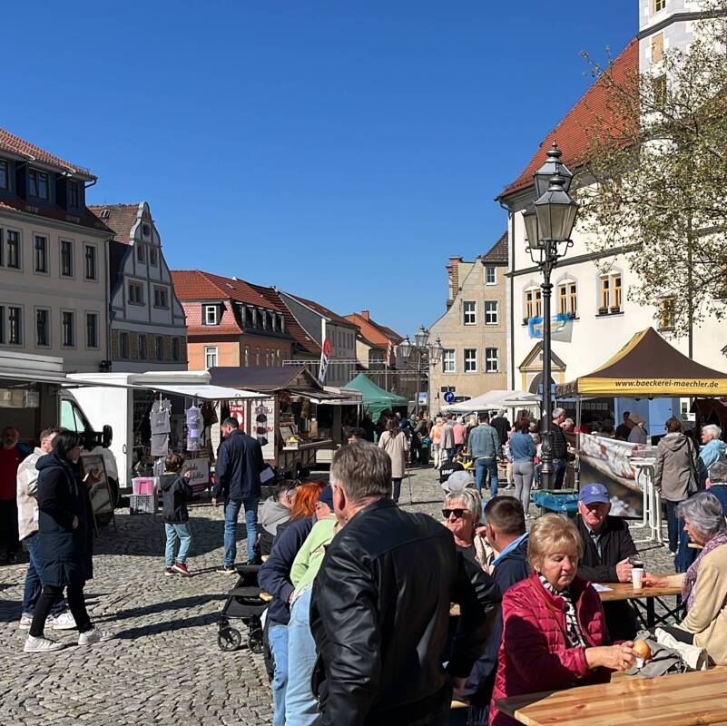 Blick auf den Frühlingsmarkt 2025
