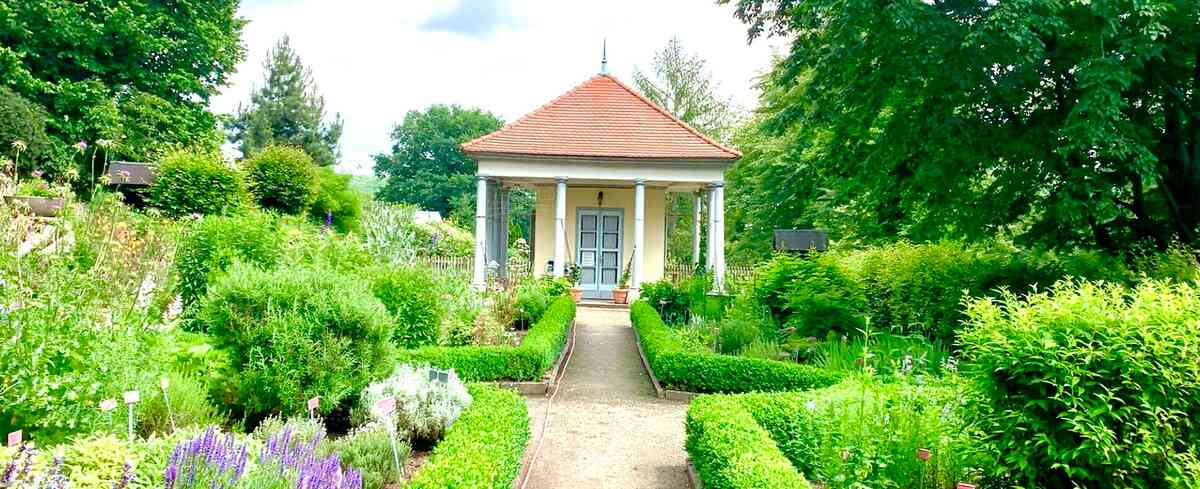 Kräutergarten
