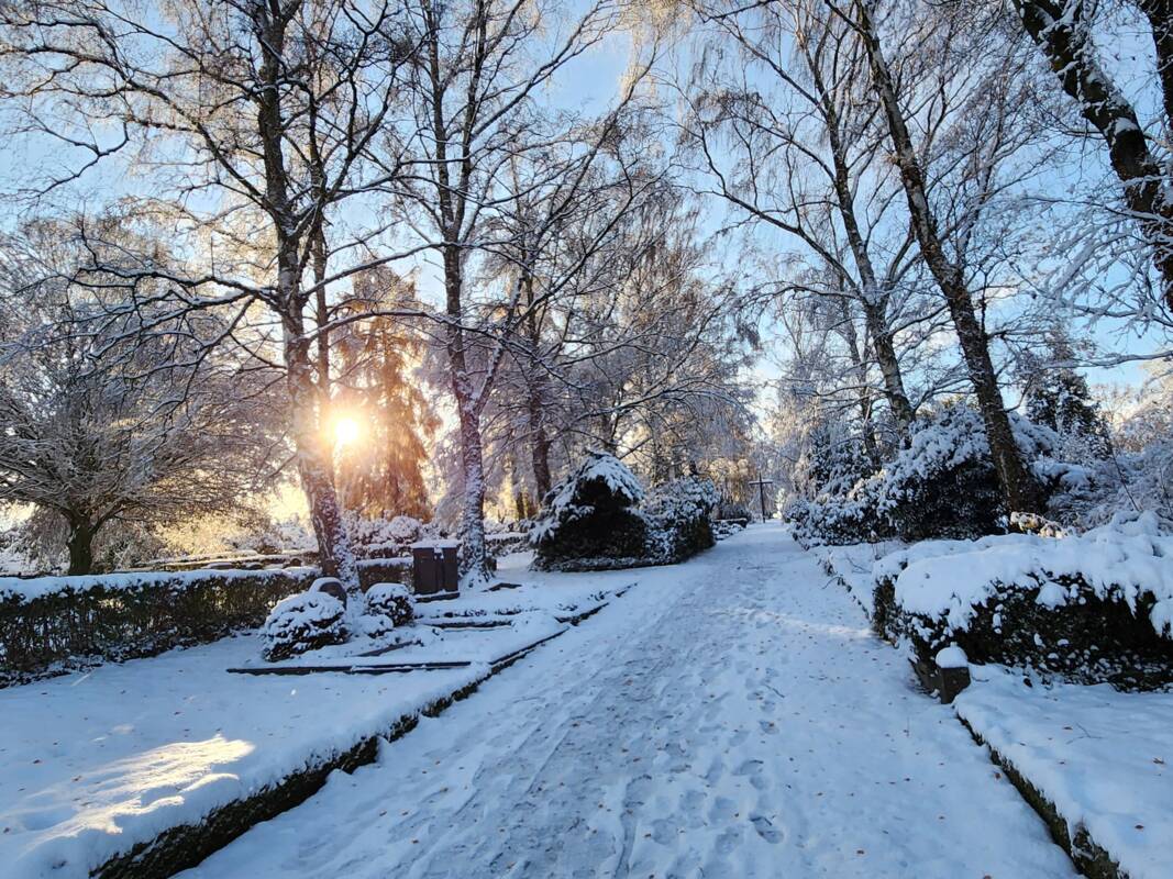 Blick auf den Eisenberger Friedhof